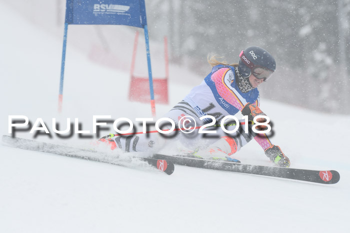 FIS Riesenslalom, Damen + Herren, Oberjoch, 15.02.2018