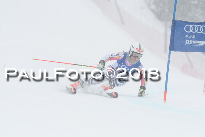 FIS Riesenslalom, Damen + Herren, Oberjoch, 15.02.2018