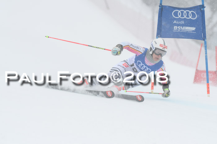 FIS Riesenslalom, Damen + Herren, Oberjoch, 15.02.2018