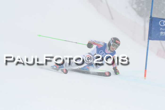 FIS Riesenslalom, Damen + Herren, Oberjoch, 15.02.2018