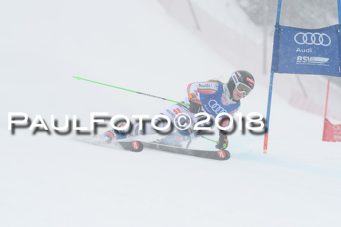 FIS Riesenslalom, Damen + Herren, Oberjoch, 15.02.2018