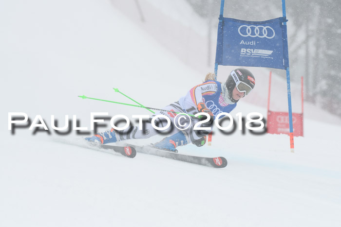 FIS Riesenslalom, Damen + Herren, Oberjoch, 15.02.2018