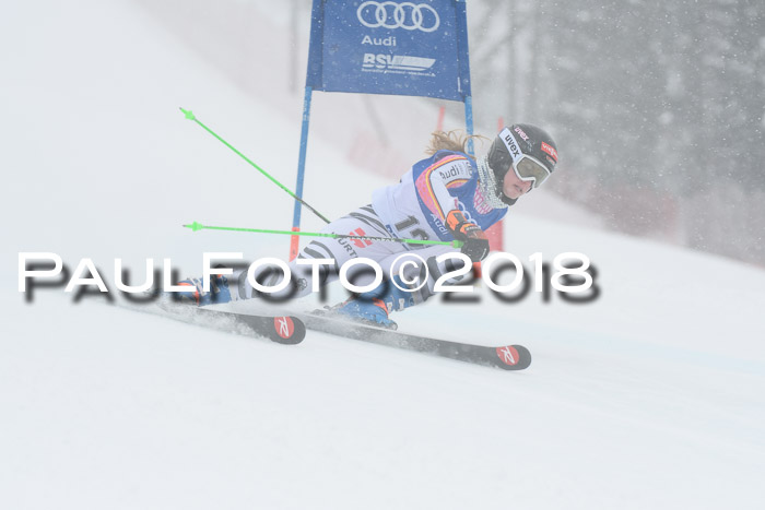 FIS Riesenslalom, Damen + Herren, Oberjoch, 15.02.2018