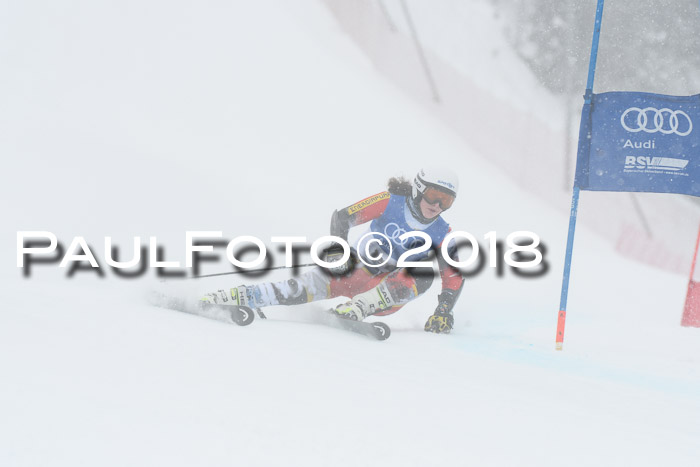 FIS Riesenslalom, Damen + Herren, Oberjoch, 15.02.2018