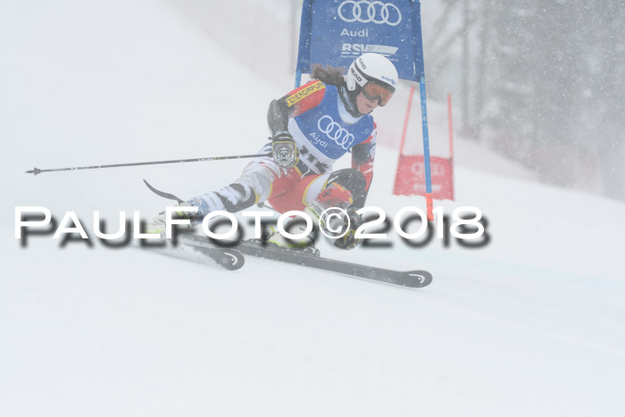 FIS Riesenslalom, Damen + Herren, Oberjoch, 15.02.2018
