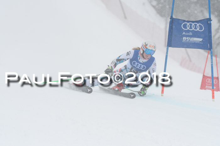 FIS Riesenslalom, Damen + Herren, Oberjoch, 15.02.2018