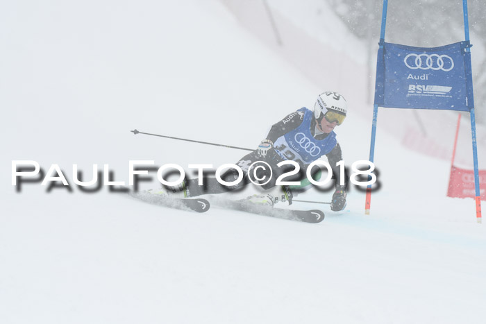 FIS Riesenslalom, Damen + Herren, Oberjoch, 15.02.2018