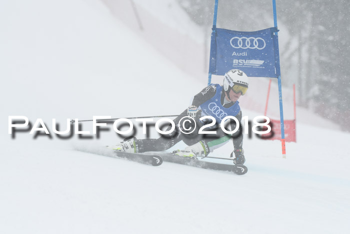 FIS Riesenslalom, Damen + Herren, Oberjoch, 15.02.2018