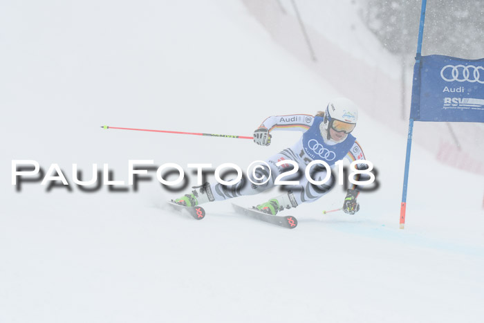 FIS Riesenslalom, Damen + Herren, Oberjoch, 15.02.2018