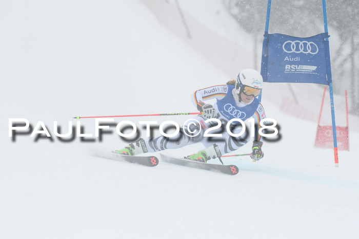 FIS Riesenslalom, Damen + Herren, Oberjoch, 15.02.2018