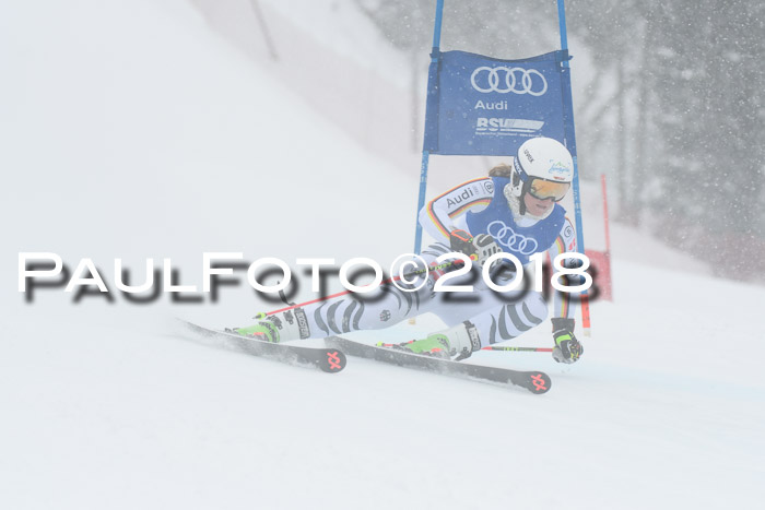 FIS Riesenslalom, Damen + Herren, Oberjoch, 15.02.2018