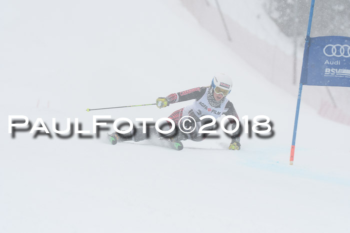 FIS Riesenslalom, Damen + Herren, Oberjoch, 15.02.2018