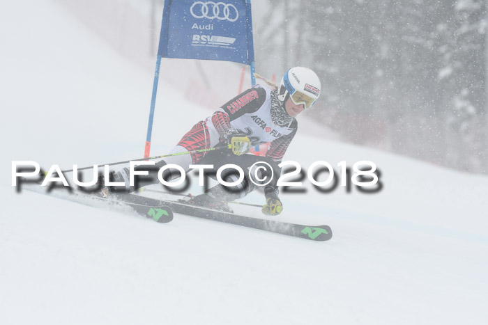 FIS Riesenslalom, Damen + Herren, Oberjoch, 15.02.2018