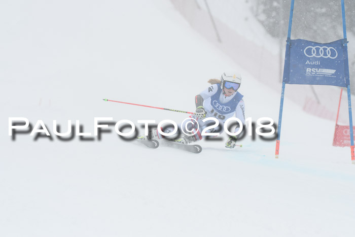 FIS Riesenslalom, Damen + Herren, Oberjoch, 15.02.2018