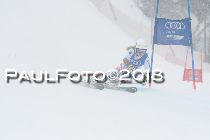 FIS Riesenslalom, Damen + Herren, Oberjoch, 15.02.2018