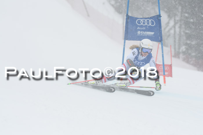 FIS Riesenslalom, Damen + Herren, Oberjoch, 15.02.2018