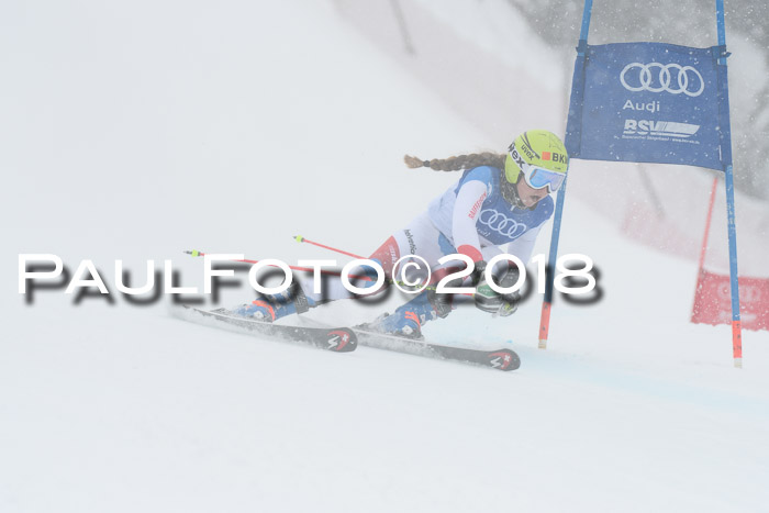 FIS Riesenslalom, Damen + Herren, Oberjoch, 15.02.2018