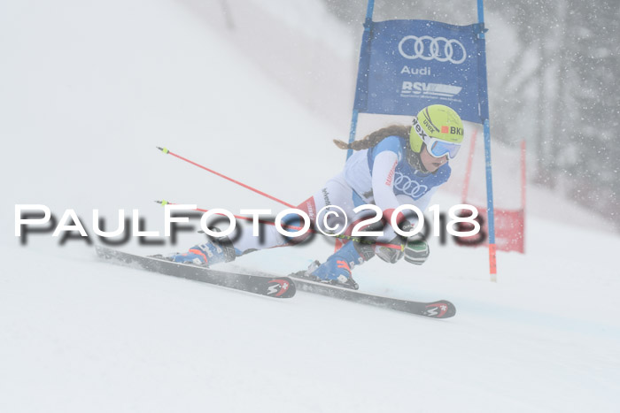 FIS Riesenslalom, Damen + Herren, Oberjoch, 15.02.2018
