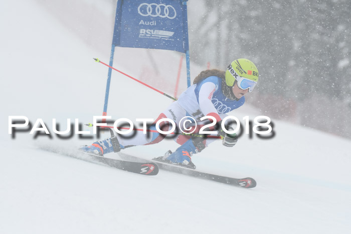 FIS Riesenslalom, Damen + Herren, Oberjoch, 15.02.2018