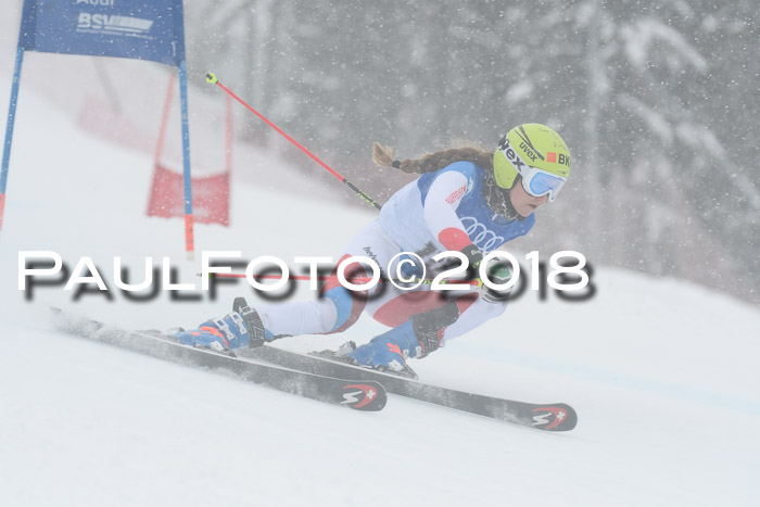 FIS Riesenslalom, Damen + Herren, Oberjoch, 15.02.2018