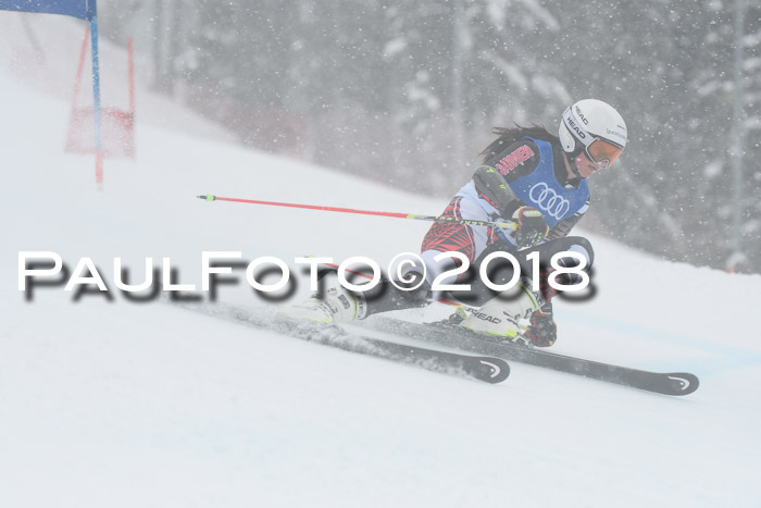 FIS Riesenslalom, Damen + Herren, Oberjoch, 15.02.2018