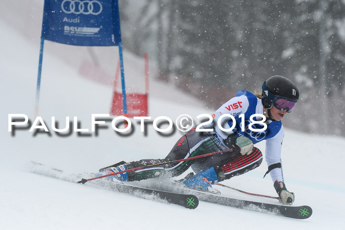 FIS Riesenslalom, Damen + Herren, Oberjoch, 15.02.2018