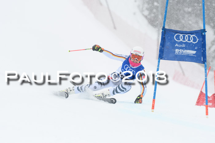 FIS Riesenslalom, Damen + Herren, Oberjoch, 15.02.2018