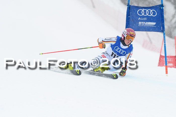 FIS Riesenslalom, Damen + Herren, Oberjoch, 15.02.2018