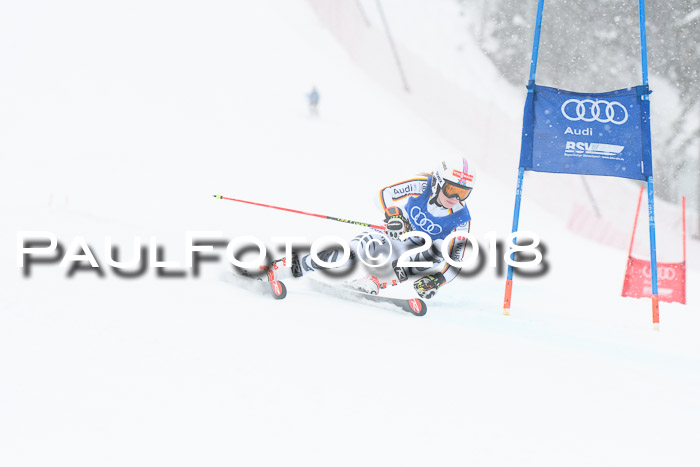 FIS Riesenslalom, Damen + Herren, Oberjoch, 15.02.2018