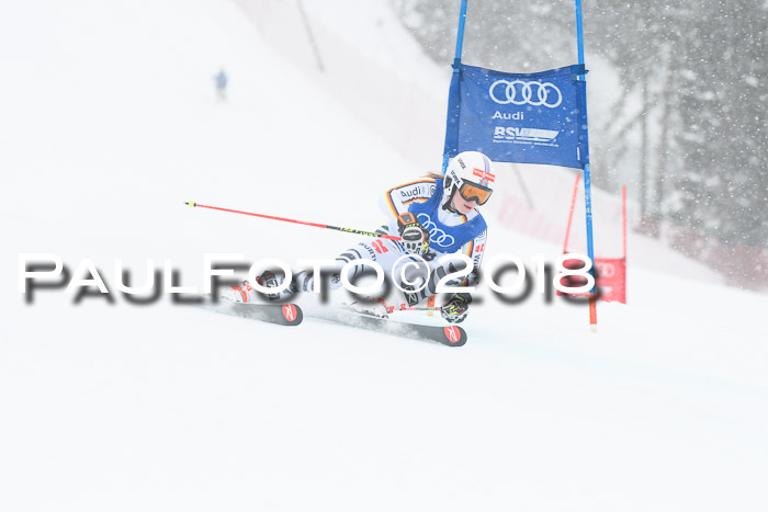 FIS Riesenslalom, Damen + Herren, Oberjoch, 15.02.2018