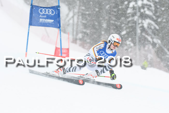 FIS Riesenslalom, Damen + Herren, Oberjoch, 15.02.2018