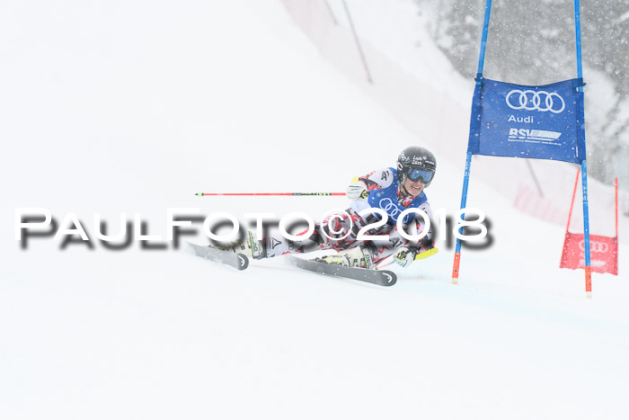 FIS Riesenslalom, Damen + Herren, Oberjoch, 15.02.2018