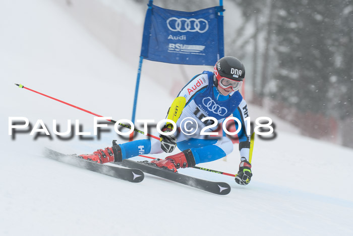 FIS Riesenslalom, Damen + Herren, Oberjoch, 15.02.2018