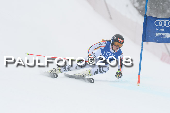 FIS Riesenslalom, Damen + Herren, Oberjoch, 15.02.2018