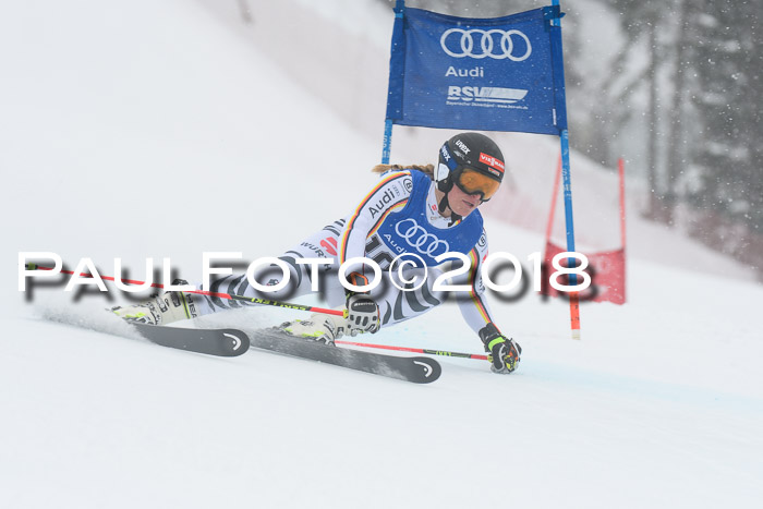 FIS Riesenslalom, Damen + Herren, Oberjoch, 15.02.2018