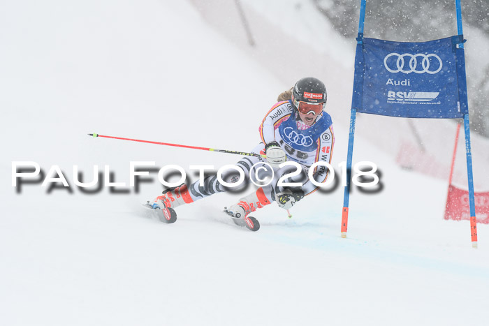FIS Riesenslalom, Damen + Herren, Oberjoch, 15.02.2018