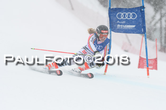 FIS Riesenslalom, Damen + Herren, Oberjoch, 15.02.2018