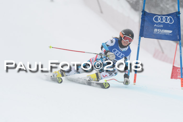 FIS Riesenslalom, Damen + Herren, Oberjoch, 15.02.2018