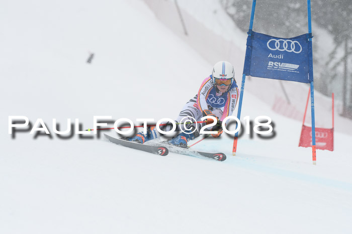 FIS Riesenslalom, Damen + Herren, Oberjoch, 15.02.2018