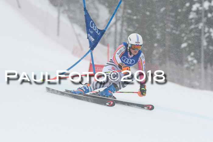 FIS Riesenslalom, Damen + Herren, Oberjoch, 15.02.2018