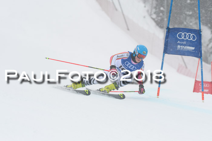 FIS Riesenslalom, Damen + Herren, Oberjoch, 15.02.2018