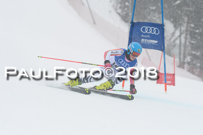 FIS Riesenslalom, Damen + Herren, Oberjoch, 15.02.2018