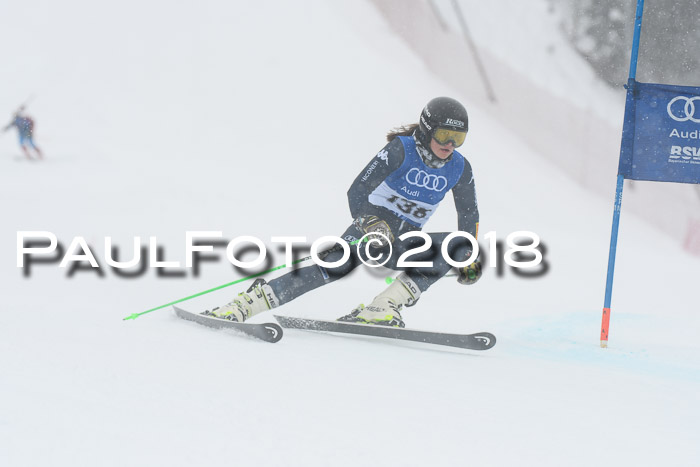 FIS Riesenslalom, Damen + Herren, Oberjoch, 15.02.2018
