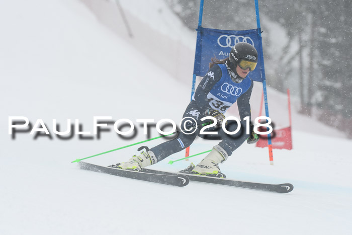 FIS Riesenslalom, Damen + Herren, Oberjoch, 15.02.2018