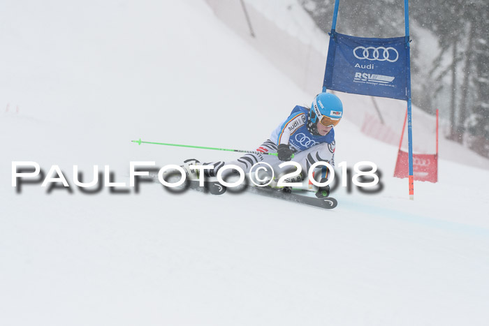 FIS Riesenslalom, Damen + Herren, Oberjoch, 15.02.2018