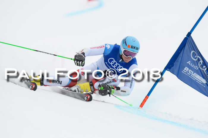 FIS Riesenslalom, Damen + Herren, Oberjoch, 15.02.2018