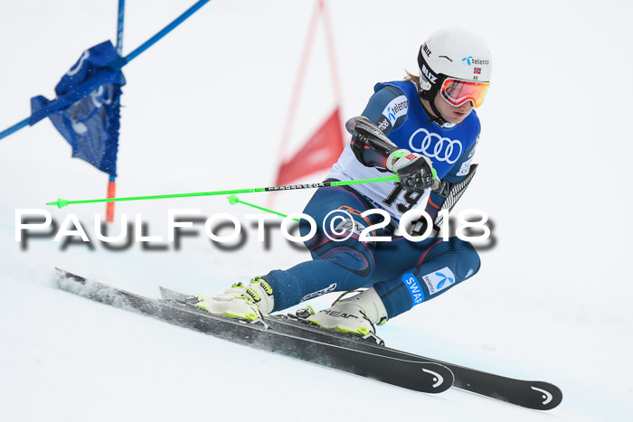 FIS Riesenslalom, Damen + Herren, Oberjoch, 15.02.2018