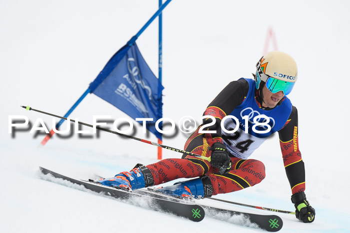 FIS Riesenslalom, Damen + Herren, Oberjoch, 15.02.2018