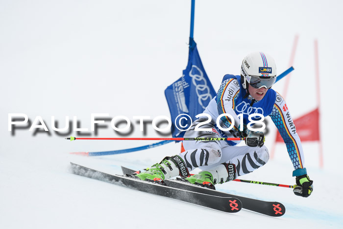 FIS Riesenslalom, Damen + Herren, Oberjoch, 15.02.2018