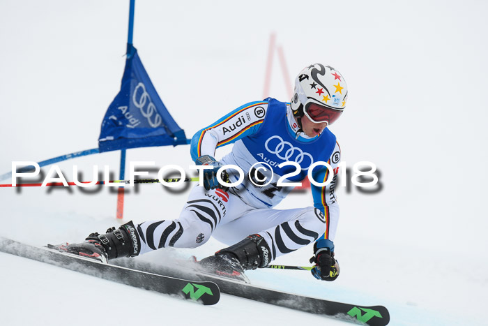 FIS Riesenslalom, Damen + Herren, Oberjoch, 15.02.2018